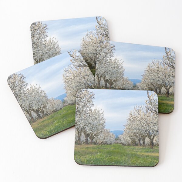 Item preview, Provence-Alpes-Côte d'Azur, France, South of France designed and sold by Autumn Kulla.