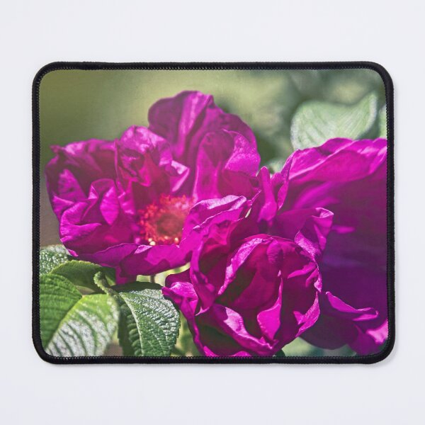 Item preview, Roses In Pink designed and sold by Thymely.