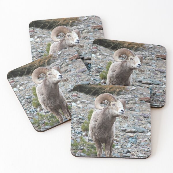 Item preview, Wary Ram designed and sold by Alyce Taylor.