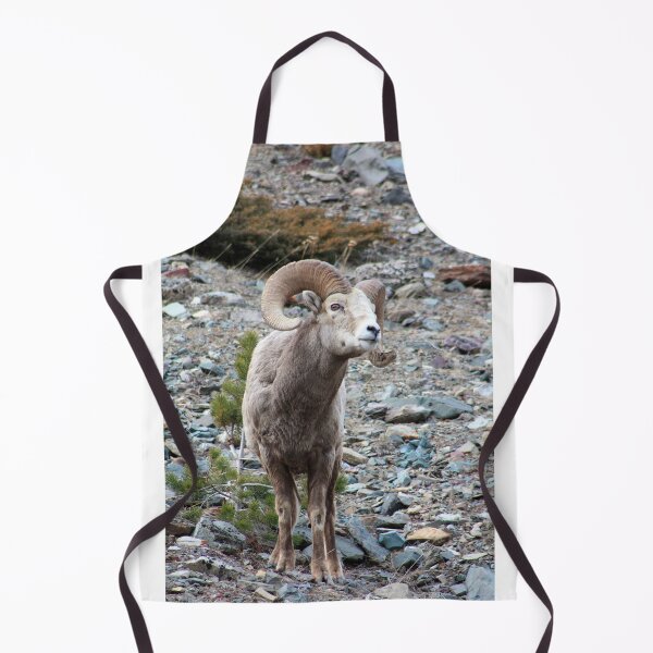 Item preview, Wary Ram designed and sold by Alyce Taylor.