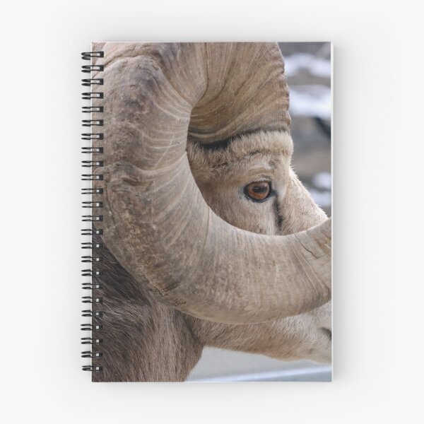 Item preview, Rocky Mountain Sheep designed and sold by Alyce Taylor.