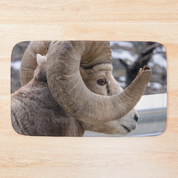 Item preview, Rocky Mountain Sheep designed and sold by Alyce Taylor.