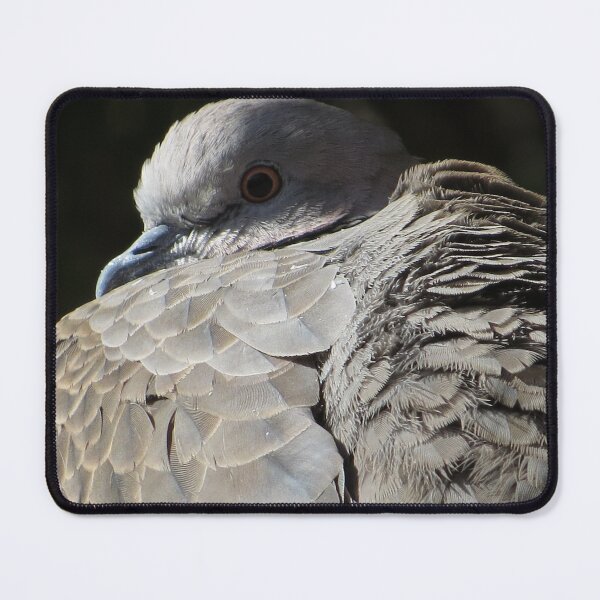 Item preview, Grey Dove designed and sold by Honey Myrtle Studio.