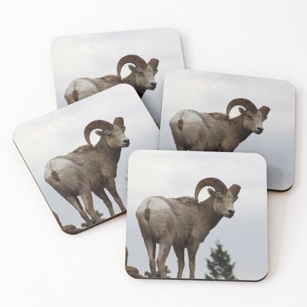 Item preview, Park Overseer designed and sold by Alyce Taylor.
