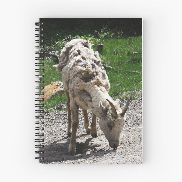 Item preview, Scruffy Bighorn designed and sold by Alyce Taylor.