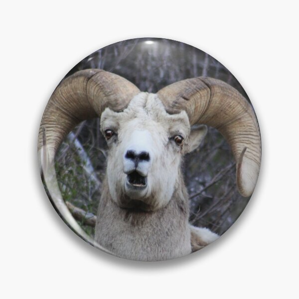 Artikelvorschau, Sprechendes Bighorn entworfen und verkauft von Alyce Taylor.