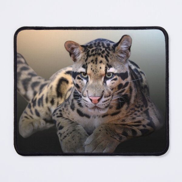 Item preview, Young Leopard  designed and sold by Savannah Gibbs.
