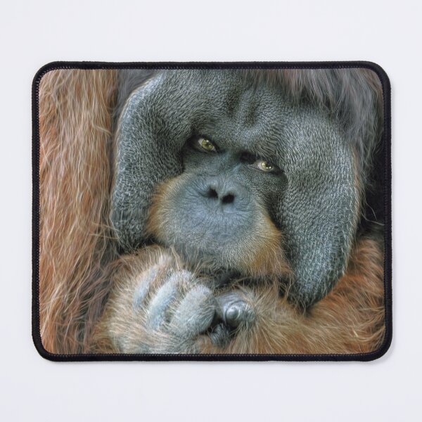 Item preview, Male Orangutan  designed and sold by Savannah Gibbs.