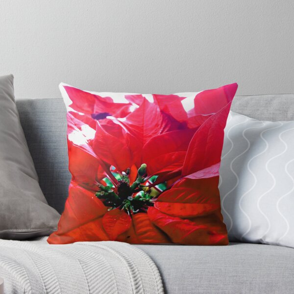 Item preview, Poinsettia Morning designed and sold by efgracearts.
