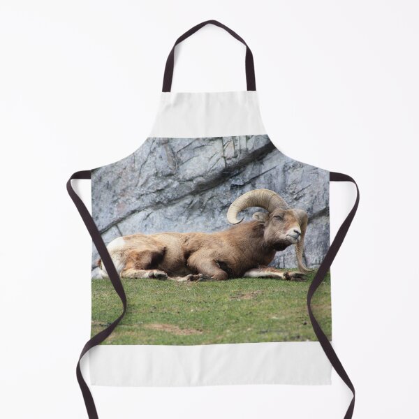 Item preview, Bighorn Sheep designed and sold by Alyce Taylor.