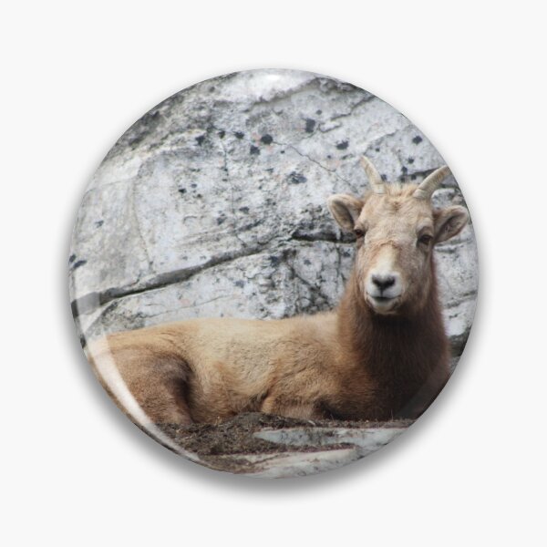 Item preview, Bighorn Sheep designed and sold by Alyce Taylor.