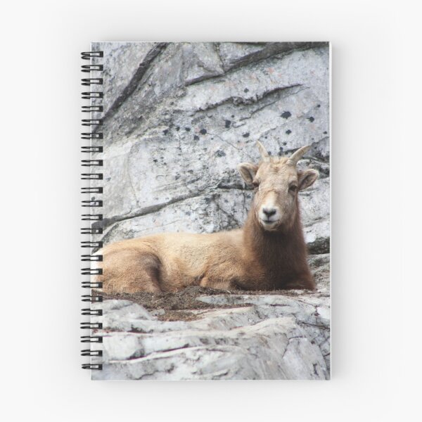 Item preview, Bighorn Sheep designed and sold by Alyce Taylor.