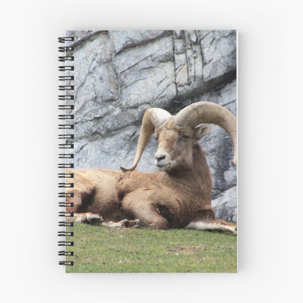 Item preview, Bighorn Sheep designed and sold by Alyce Taylor.