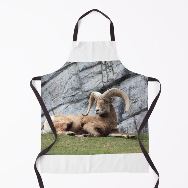 Item preview, Bighorn Sheep designed and sold by Alyce Taylor.
