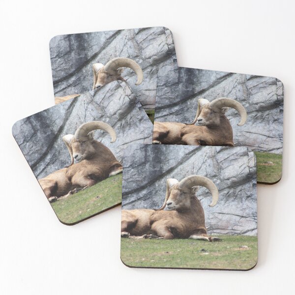 Item preview, Bighorn Sheep designed and sold by Alyce Taylor.