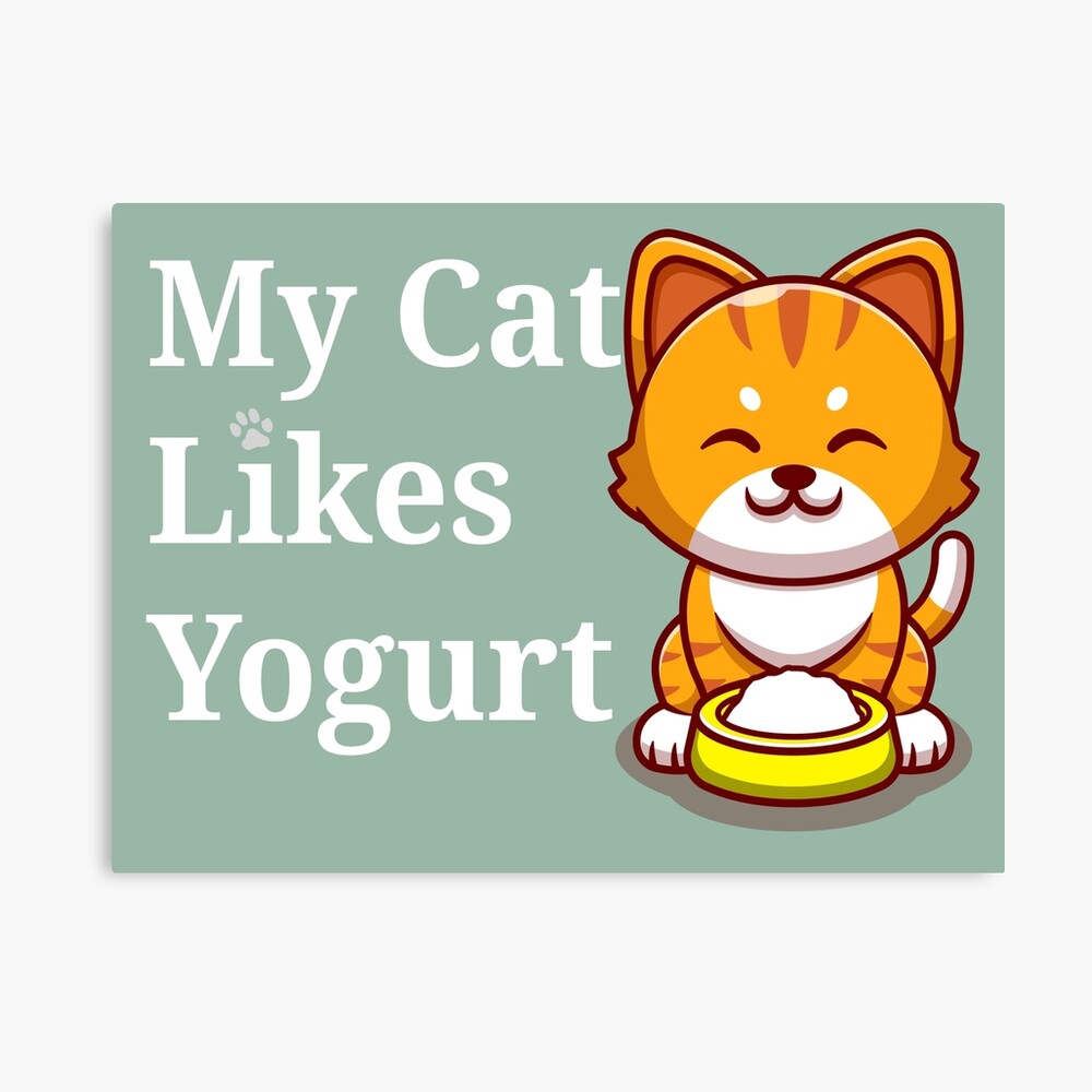 my cat likes yogurt