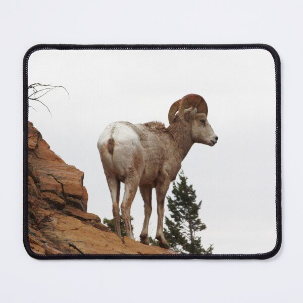 Item preview, Rocky Mountain Sheep designed and sold by Alyce Taylor.