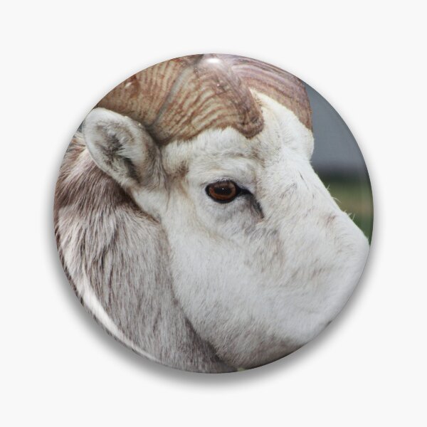 Item preview, Rocky Mountain Sheep designed and sold by Alyce Taylor.