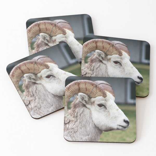 Item preview, Rocky Mountain Sheep designed and sold by Alyce Taylor.