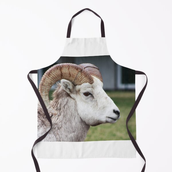 Item preview, Rocky Mountain Sheep designed and sold by Alyce Taylor.