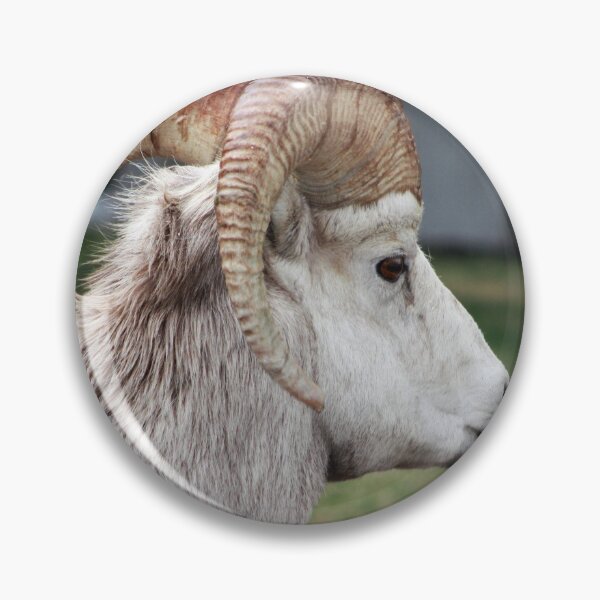 Item preview, Rocky Mountain Sheep designed and sold by Alyce Taylor.