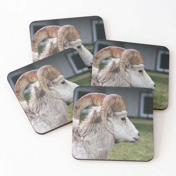 Item preview, Rocky Mountain Sheep designed and sold by Alyce Taylor.
