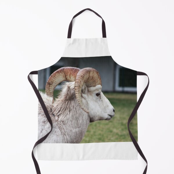 Item preview, Rocky Mountain Sheep designed and sold by Alyce Taylor.