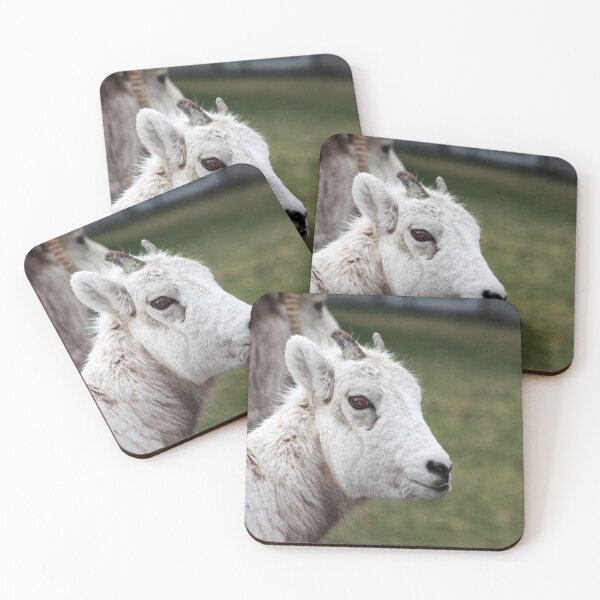 Item preview, Rocky Mountain Sheep designed and sold by Alyce Taylor.