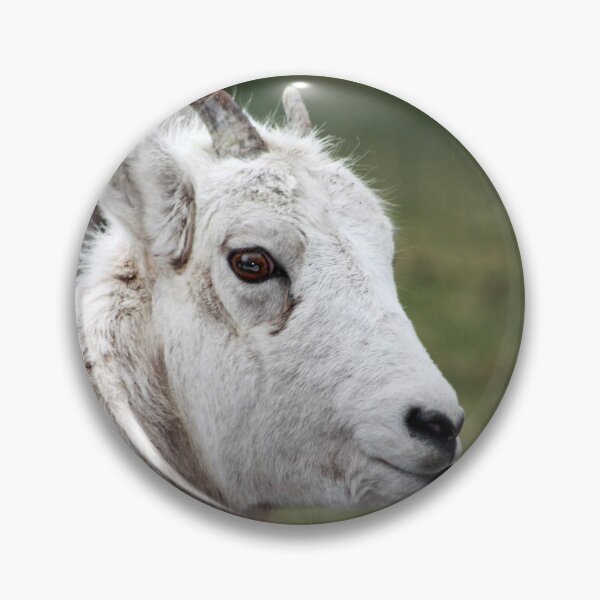 Item preview, Rocky Mountain Sheep designed and sold by Alyce Taylor.