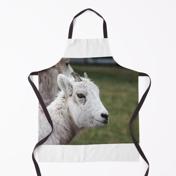 Item preview, Rocky Mountain Sheep designed and sold by Alyce Taylor.