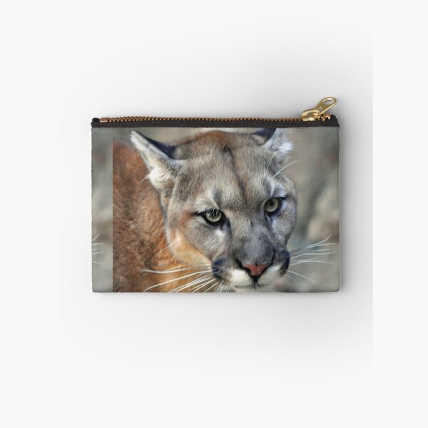 Item preview,  Cougar designed and sold by Savannah Gibbs.