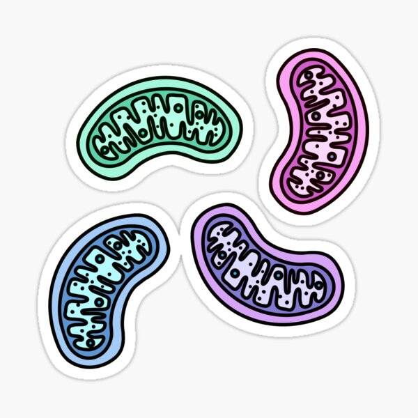 Item preview, Colorful Mitochondria - Biology designed and sold by BundaBear.