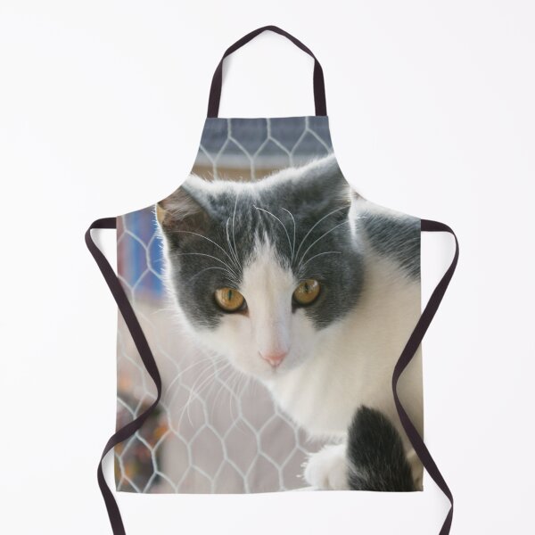 Item preview, Grey And White Tuxedo Cat Photograph designed and sold by taiche.