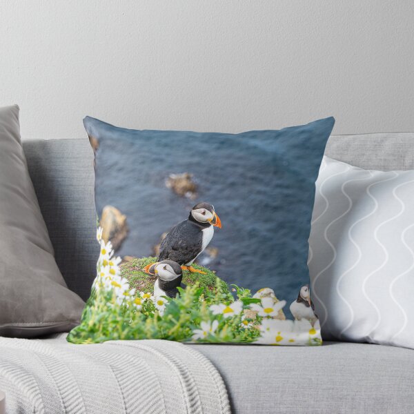 Item preview, Puffins at Sumburgh Head designed and sold by ScotLandscapes.