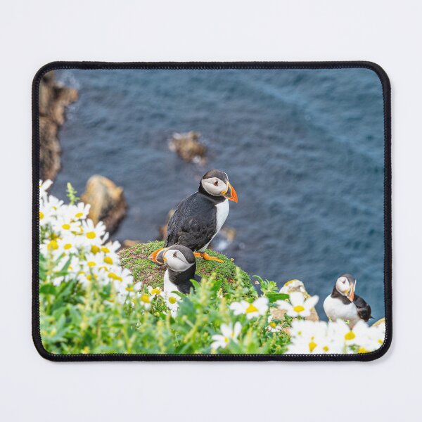 Item preview, Puffins at Sumburgh Head designed and sold by ScotLandscapes.