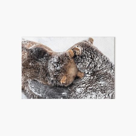 Artikel-Vorschau von Braunbären knuddeln im Schnee, designt und verkauft von Ingo Gerlach.