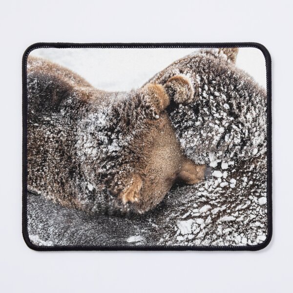 Item preview, Brown bears hug in the snow designed and sold by Ingo Gerlach.