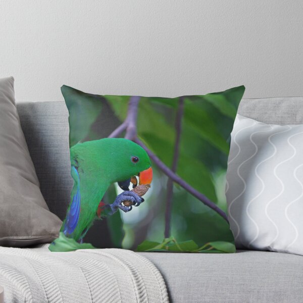 Item preview, Eclectus Parrot  designed and sold by rogersmith.