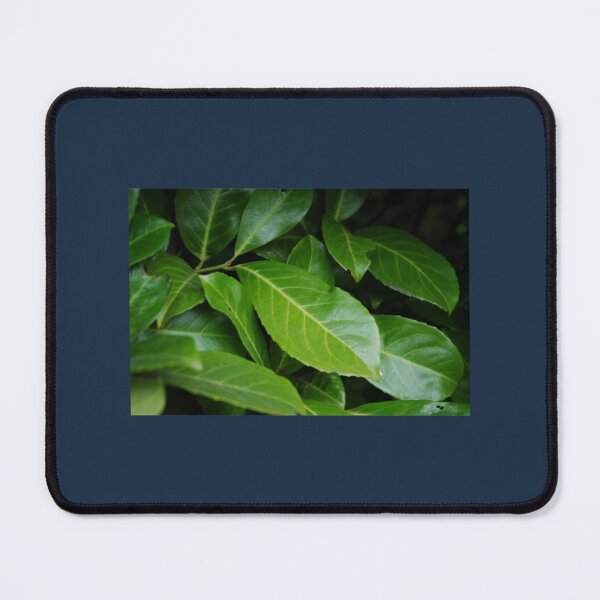 Item preview, Lovely green leaves of a bush designed and sold by EmardGeraldine.