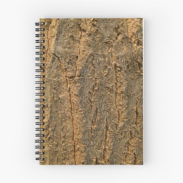 Item preview, Tree bark Texture 1. Love Nature. designed and sold by TheNatureTalent.