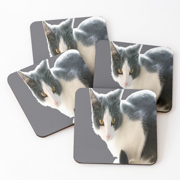 Item preview, Grey And White Tuxedo Cat Vector Art designed and sold by taiche.
