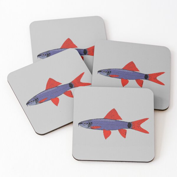 Item preview, Rainbow Shark Epalzeorhynchos frenatum designed and sold by TheAplus.