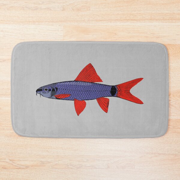Item preview, Rainbow Shark Epalzeorhynchos frenatum designed and sold by TheAplus.