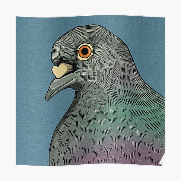 Mysterious Pigeon Poster