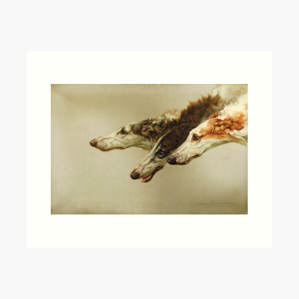 Barzoi Heads Art Print