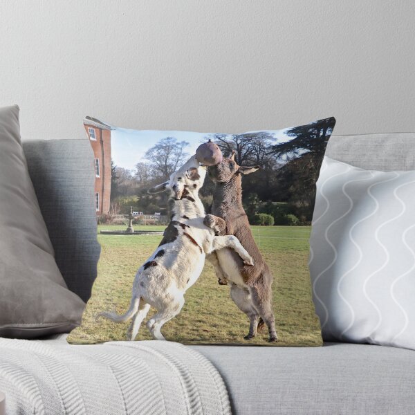 Item preview, Donkey Rugby designed and sold by John Thurgood.