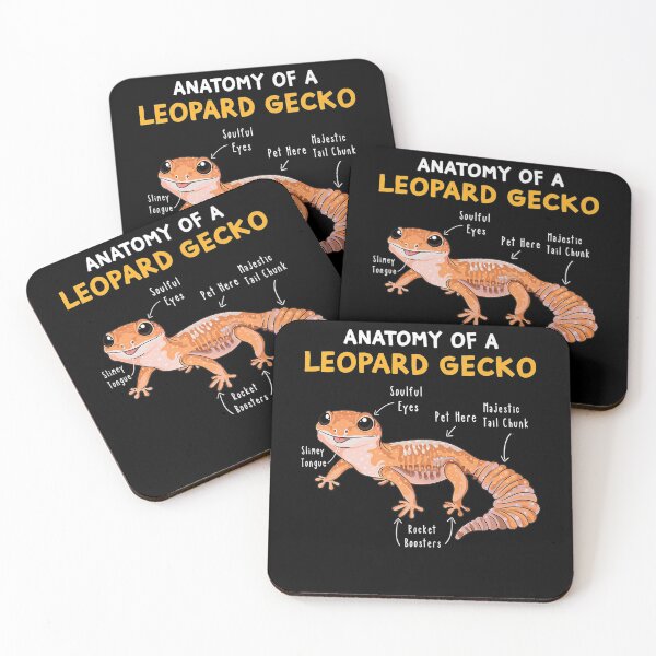 Item preview, Anatomy Of A Leopard Gecko Funny Gecko Mom Reptile Dad Premium . designed and sold by gillsue43.