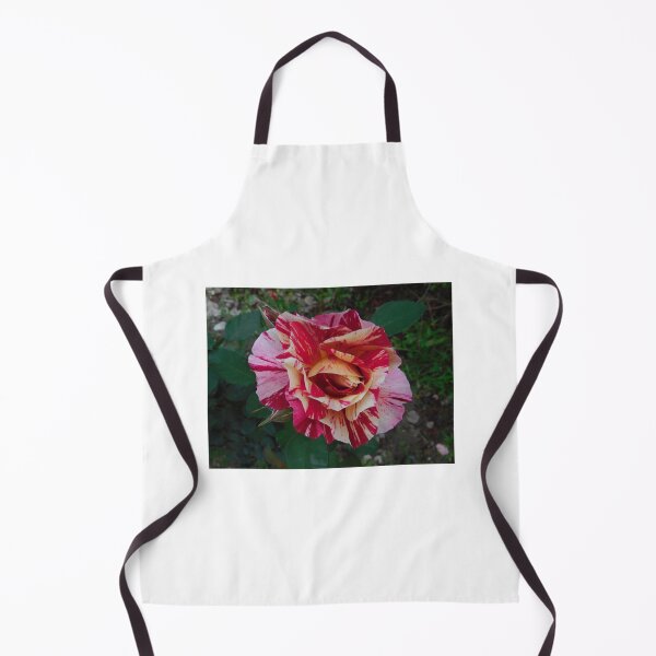 Item preview, Rose, Rosa Neil Diamond Flower. Multi colored or Rainbow flowers. Love nature. designed and sold by TheNatureTalent.