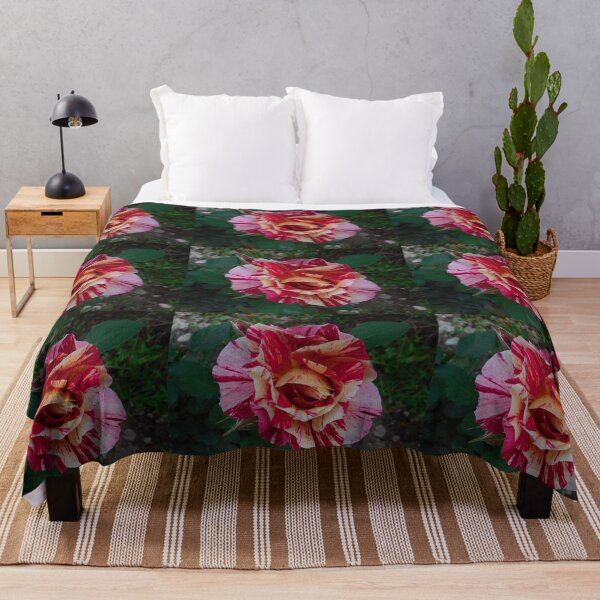 Item preview, Rose, Rosa Neil Diamond Flower. Multi colored or Rainbow flowers. Love nature.  designed and sold by TheNatureTalent.