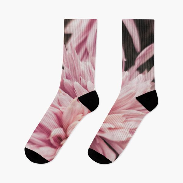 Item preview, Pastel pink flowers - pastel pink chrysanthemum designed and sold by SunriseAndHoney.